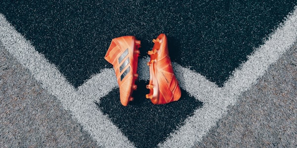 世界杯历史冠军回顾 - 历届冠军奖杯陈列