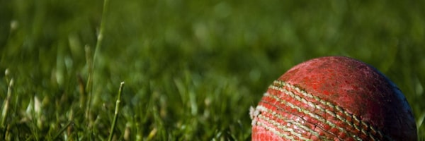 世界杯淘汰赛进程图 - 树状图展示晋级路线